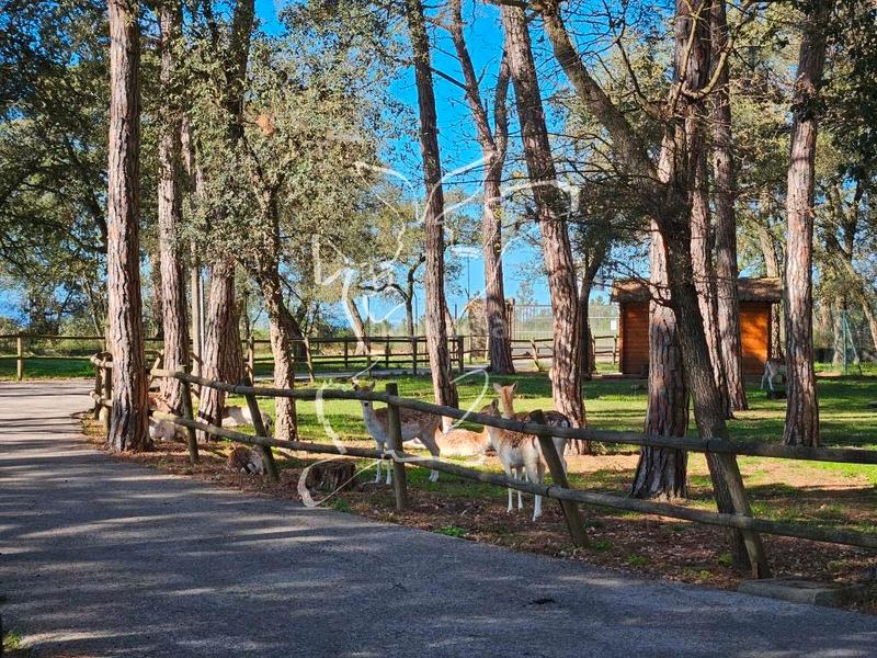Foto b7bd0c3a-9189-40d3-8824-3668d55295d9. Chalet gt_172 espectacular masía en can burot, en Caldes de Malavella