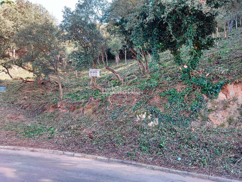 Foto 06876891-6778-4d63-a309-4917ed4a792b. Residential plot in carrer pollancre 35 in Aiguaviva Parc Vidreres