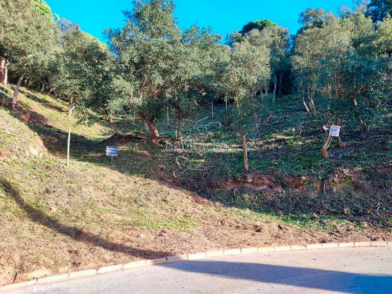 Foto 3790851c-3b25-45fe-a41d-7b7ec099bd22. Residential plot in carrer pollancre 35 in Aiguaviva Parc Vidreres