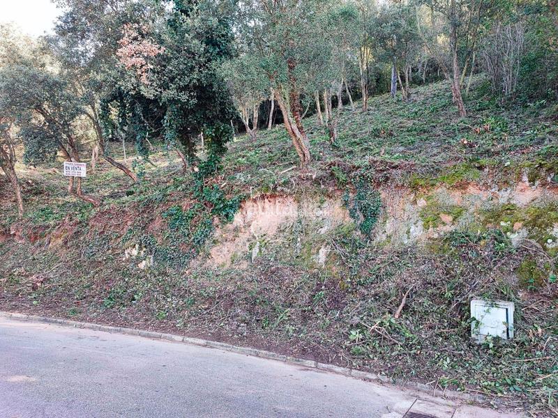 Foto 49caebd5-f9dc-43c3-8a38-b30dcd13af7f. Residential plot in carrer pollancre 35 in Aiguaviva Parc Vidreres