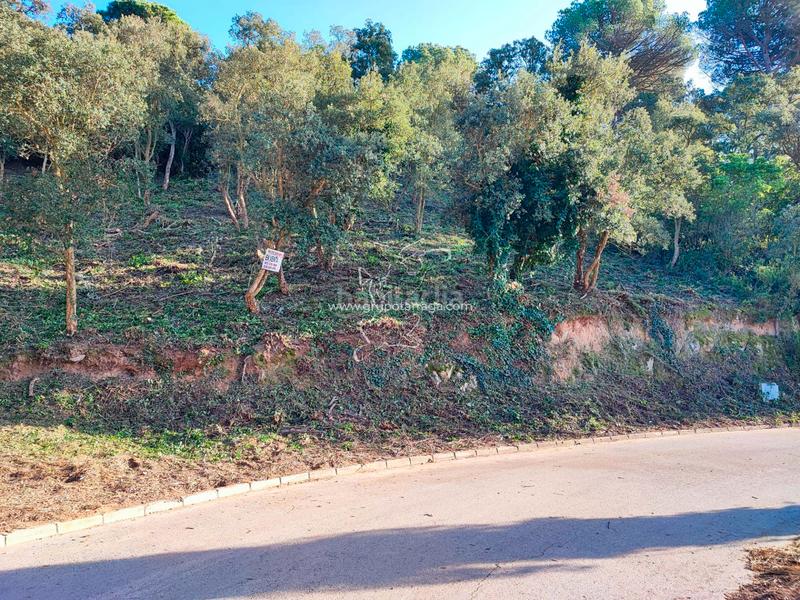 Foto 7980e179-0bcb-4426-9cec-9c9944c39a0b. Residential plot in carrer pollancre 35 in Aiguaviva Parc Vidreres