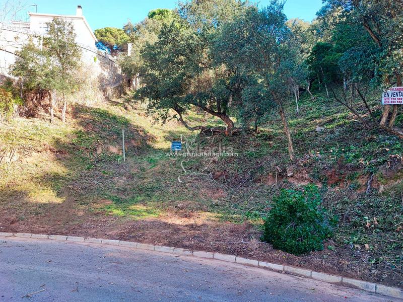 Foto a30fe0b2-bbe0-4ed5-b674-5129567e3f11. Residential plot in carrer pollancre 35 in Aiguaviva Parc Vidreres