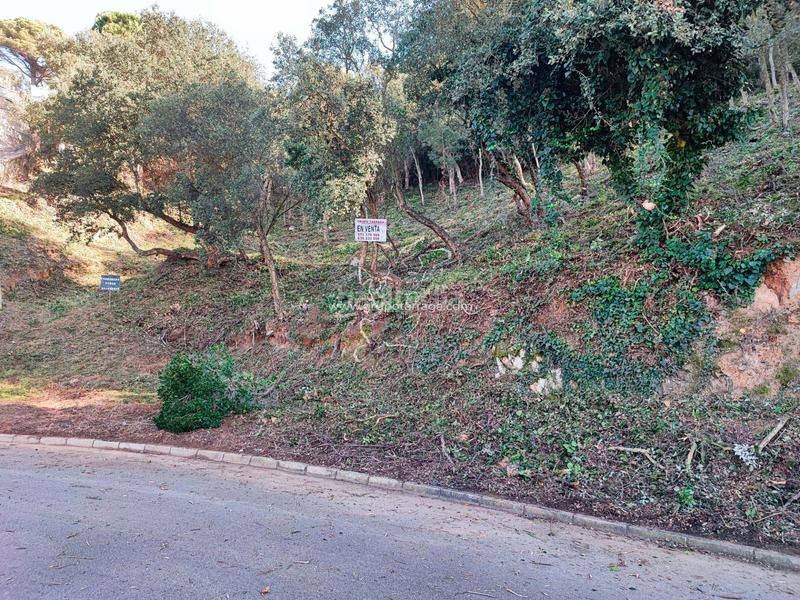 Foto fb1cbee5-0042-45ca-81ab-a694ae8b6e35. Residential plot in carrer pollancre 35 in Aiguaviva Parc Vidreres