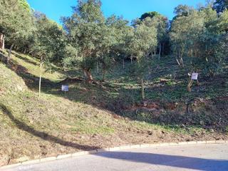 Terrain rsidentiel dans Carrer pollancre 35. Gt_248 parcela en aiguaviva parc