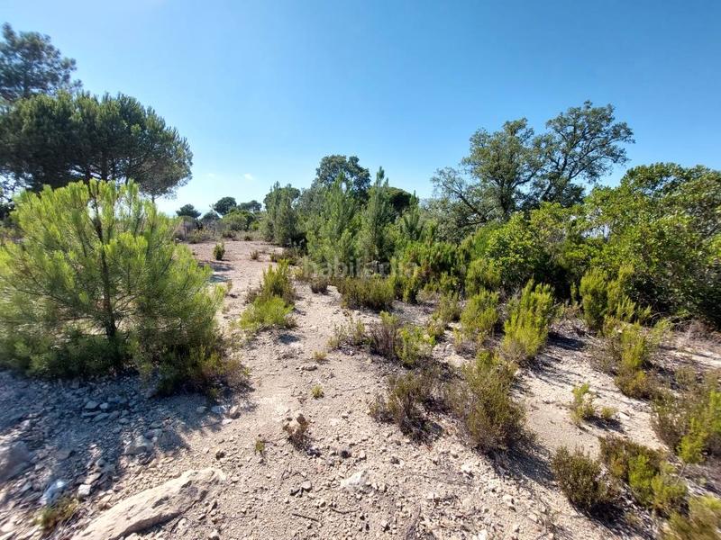 Foto bdb02901-9485-4340-8781-de97e670fe5c. Residential plot in carrer illa 5 in Lloret Residencial - Montlloret Lloret de Mar