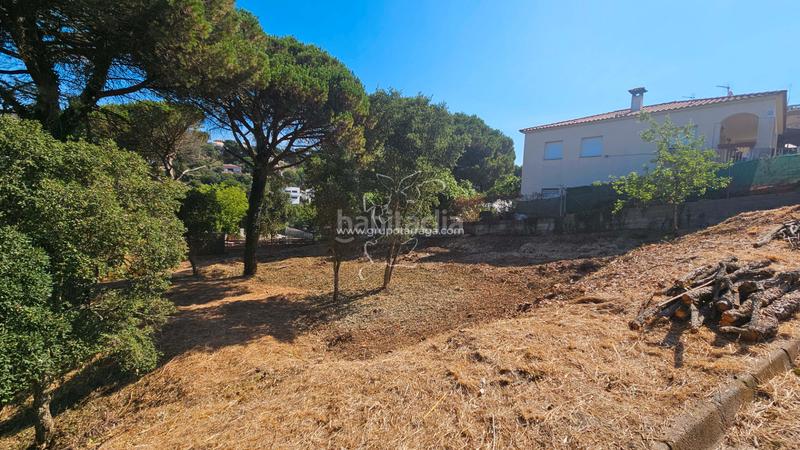 Foto 429cf2aa-ca80-45ff-850a-863018913388. Residential plot in Lloret Residencial - Montlloret Lloret de Mar