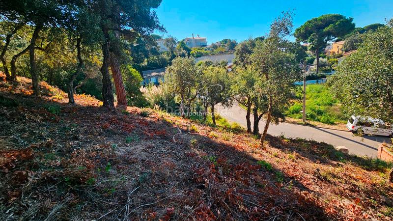 Foto 26b30ac1-bcb5-4836-97e3-b1ddf521399b. Terreno residenziale in carrer bedoll 60 in Aiguaviva Parc Vidreres