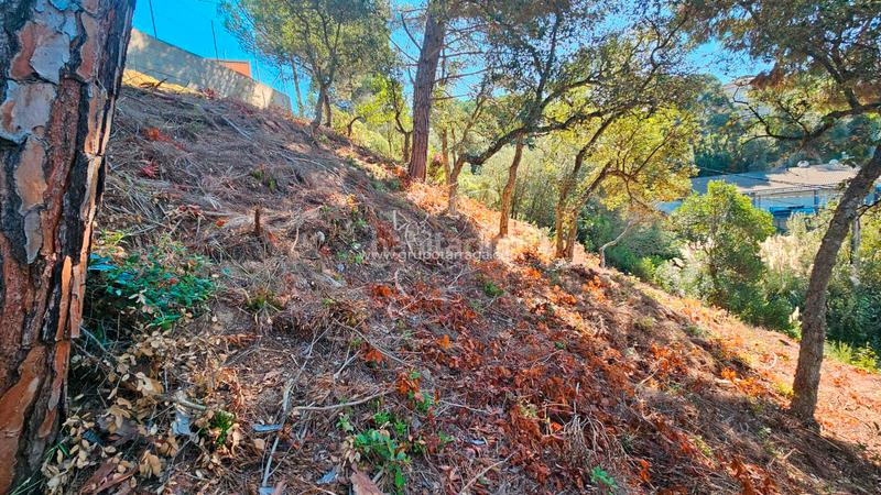 Foto 2cdf2dd6-4d3d-4dc4-87f4-2b3af5feb275. Terreno residenziale in carrer bedoll 60 in Aiguaviva Parc Vidreres