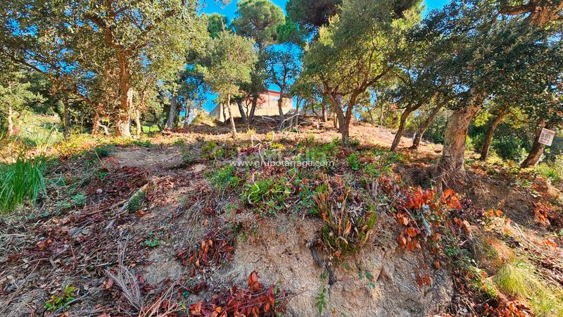 Foto 31226368-d100-4306-bb8e-191b28910899. Terreno residenziale in carrer bedoll 60 in Aiguaviva Parc Vidreres