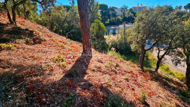 Foto c4ed9ee5-d324-4a91-ae1d-57c3f9078ec6. Terreno residenziale in carrer bedoll 60 in Aiguaviva Parc Vidreres