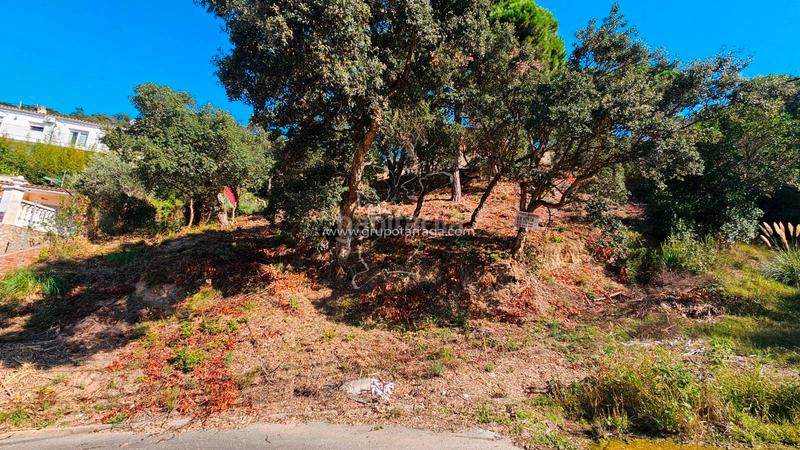Foto d49e3d7f-8b6f-4da0-b422-fe5484f75abd. Terreno residenziale in carrer bedoll 60 in Aiguaviva Parc Vidreres