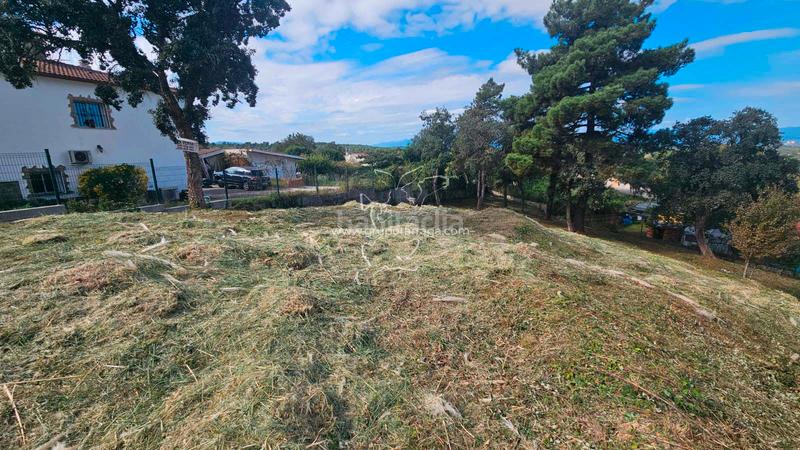 Foto 78450d18-6a04-4b2e-b35f-b2cf011fcc37. Terreno residencial bonita parcela en puig ventós en Vidreres