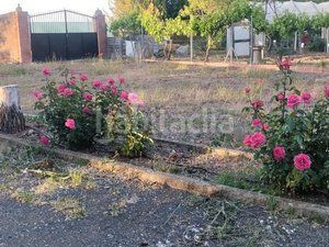 Foto cb5be33c-8017-4ba2-b798-c104c80f5e94. Casa amb calefacció piscina a Ciudad Jardín Ciudad Real