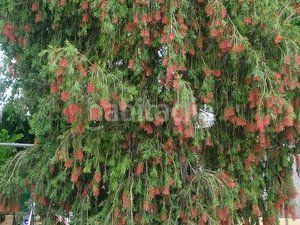 Foto d0c2e653-8b84-4581-ba3c-c174098fd6ab. Casa amb calefacció piscina a Ciudad Jardín Ciudad Real