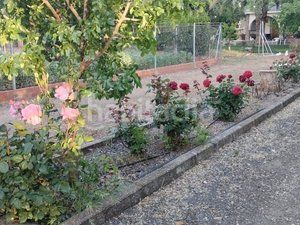 Foto d7e71d07-6532-4bfa-a857-006c40524b45. Casa amb calefacció piscina a Ciudad Jardín Ciudad Real