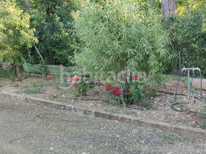 Foto d8a926ae-1211-49c2-9bc9-2cb4cc6e8a33. Casa amb calefacció piscina a Ciudad Jardín Ciudad Real