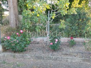 Foto dc1c5517-19e1-45db-ba69-068ef28f9b40. Casa amb calefacció piscina a Ciudad Jardín Ciudad Real