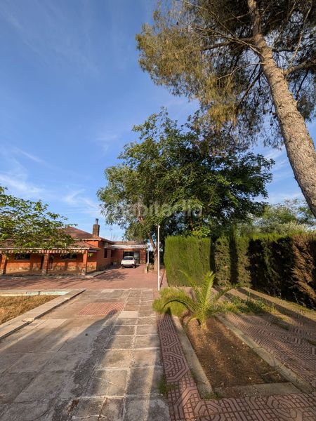 Foto d61edd03-9c82-4320-8d11-1f50cd3b29e6. Masia amb calefacció a Miguelturra