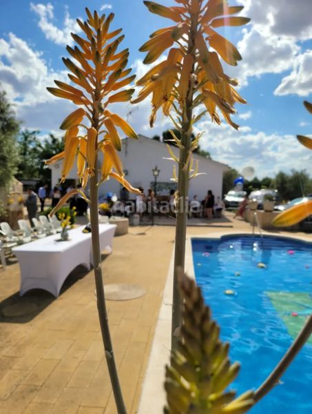 Foto 904213d7-8e6f-4c2d-a968-5a1792226925. Casa amb calefacció a La Poblachuela Ciudad Real