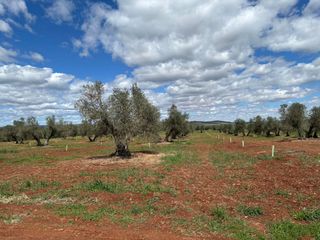 Terreno residenziale in Área Rual - Valverde - Las Casas. Parcela en venta en valverde  ciudad real