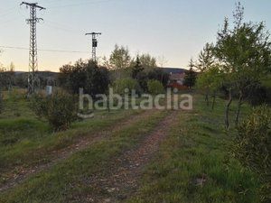 Foto 04bccbed-f1df-433e-991f-e572a0067b51. Finca rústica a Piedrabuena