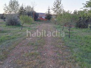 Foto 0661701a-3b84-4541-a95d-4576d8b03535. Finca rústica a Piedrabuena