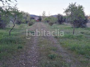 Foto 33b70e6f-e329-4da3-a1d7-38cd5f7d0a94. Finca rústica a Piedrabuena