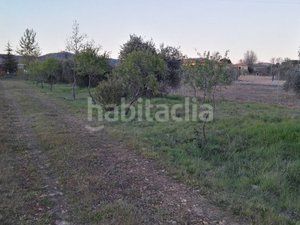 Foto 3a548c9e-ffa1-4baf-928b-91784544f9fe. Finca rústica a Piedrabuena