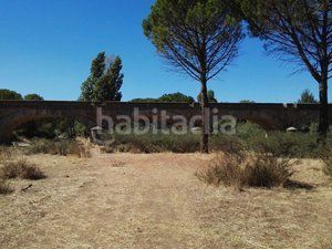 Foto 4a1eb31f-665c-49bb-8e26-1cd73bd699e3. Finca rústica a Piedrabuena