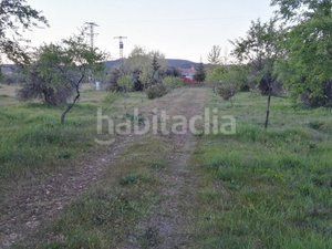 Foto 4f622c7c-32c5-4bc4-806b-3b37520e4898. Finca rústica a Piedrabuena