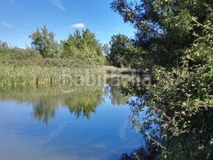 Foto 53795663-5830-4070-afde-3b99e843716d. Finca rústica a Piedrabuena