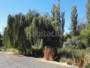 Foto 678f98e5-c362-4f54-9112-5351e464521f. Finca rústica a Piedrabuena