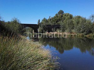 Foto 6add12bd-4ebe-44e2-a2dd-a61e579b4327. Finca rústica a Piedrabuena