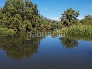 Foto add2ad50-29e2-48c6-b694-a17accf22f32. Finca rústica a Piedrabuena