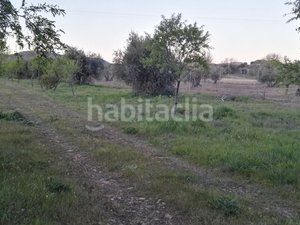 Foto b3020f6e-9047-42bc-90e2-092d4988c324. Finca rústica a Piedrabuena