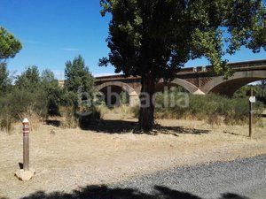 Foto ca011383-b1b3-4eaa-ab42-94d99a165113. Finca rústica a Piedrabuena