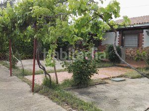 Foto e0337b4b-f65c-4f7f-b9ae-a77ce15929e8. Finca rústica a Piedrabuena