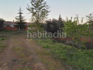 Foto e969c985-b31e-4bbb-bae8-638a1da45551. Finca rústica a Piedrabuena