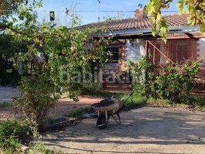 Foto eb462cbf-0ff2-4aa3-849a-38ebd011e6fa. Finca rústica a Piedrabuena