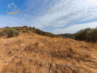 Finca rústica en N/a. Terreno en venta en sanlúcar de guadiana (huelva)