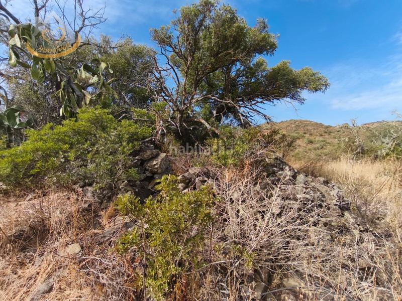 Foto a844d36c-9157-440d-9921-6850d3652159. Finca rústica a n/a a Sanlúcar de Guadiana