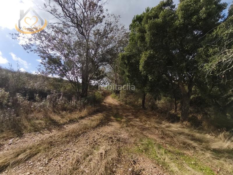 Foto 3b8880d6-d8d2-4b54-8a17-eafbcacdec0f. Finca rústica a n/a a Puebla de Guzmán