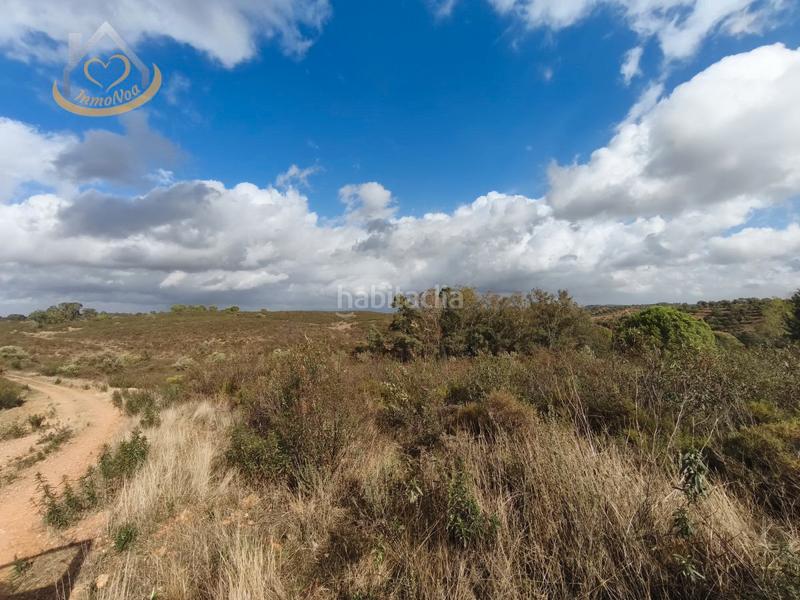 Foto 75688aa8-5582-4d6e-aa88-81d8b05ca4f9. Finca rústica a n/a a Puebla de Guzmán