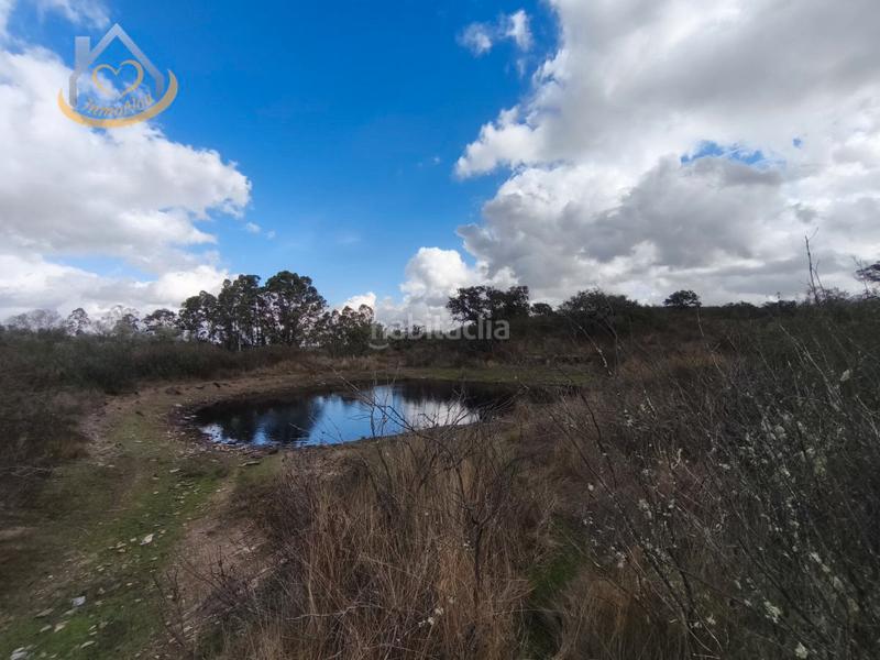 Foto 78005bbd-e46d-4574-acf5-f52122bc7ea2. Finca rústica a n/a a Puebla de Guzmán