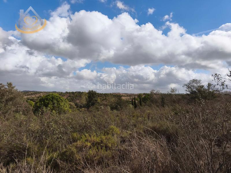 Foto a6cdd5f6-9210-436c-80af-4fc92599cb2e. Finca rústica a n/a a Puebla de Guzmán