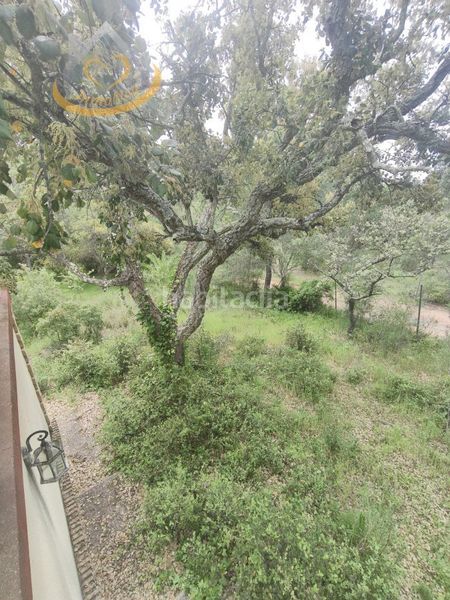 Foto 4d146173-68fa-4f57-8db7-5d201b2fa43d. Finca rústica a Villablanca