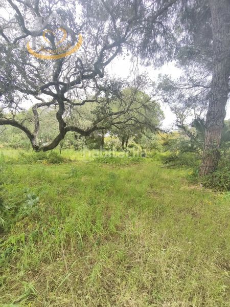 Foto 64245210-00f4-4f1b-8161-90aceed926d1. Finca rústica a Villablanca