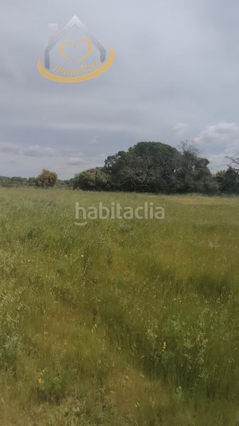 Foto 9eef01d1-f062-4f2d-bf85-8648490d38d9. Finca rústica a Villablanca