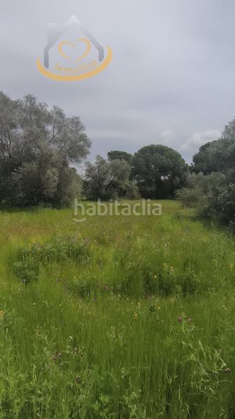 Foto b3b69c87-83af-4b15-b262-651ec82a7600. Finca rústica a Villablanca