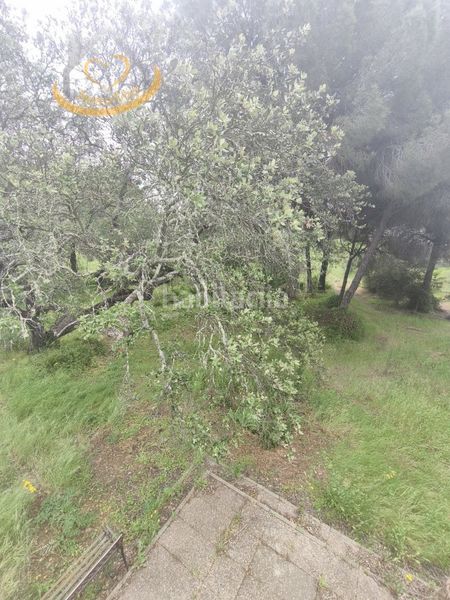 Foto b581fc65-6ea7-43f5-8cfb-8b4514a6ba5c. Finca rústica a Villablanca